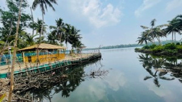 Backwater Bliss and Local Experiences