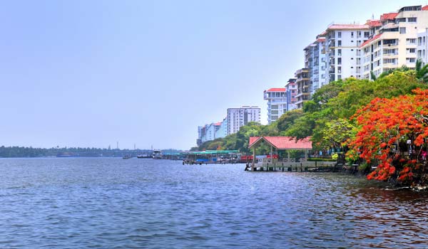 Day 1 : Cochin Arrival